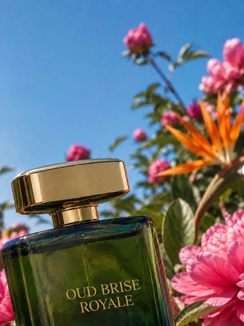 Oud Brise Royale